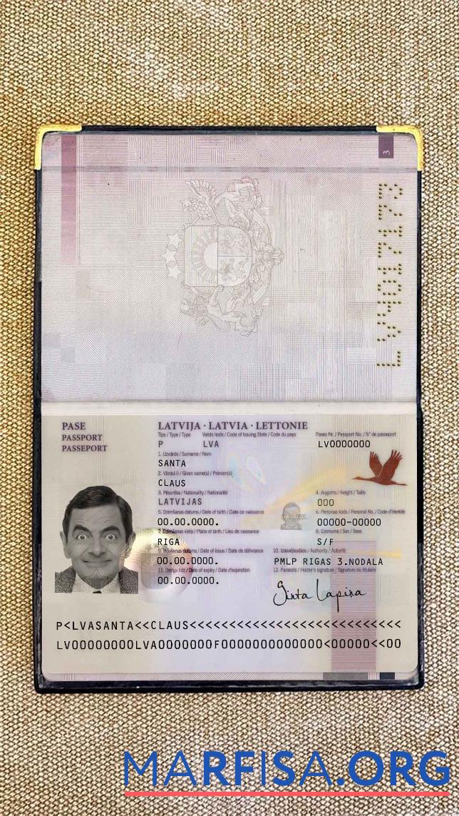 Downloadable Latvia passport (2007 2015) photo look sample